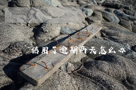 信用了逾期两天怎么办 信用了逾期两天怎么办