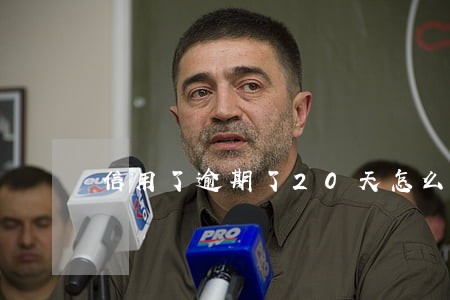 信用了逾期了20天怎么办 信用了逾期了20天怎么办