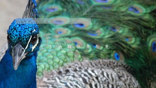 信用了逾期协商态度 信用了逾期协商态度