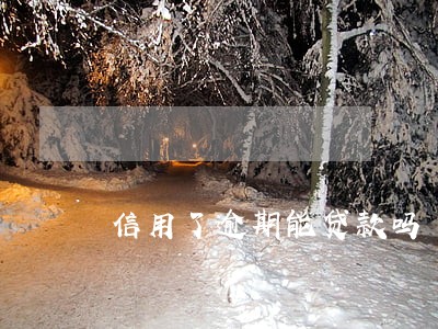 信用了逾期能贷款吗