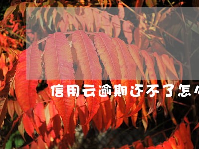 信用云逾期还不了怎么办 信用云逾期还不了怎么办