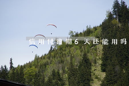 信用付逾期6天还能用吗 信用付逾期6天还能用吗