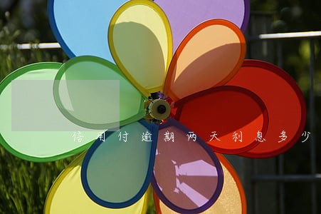 信用付逾期两天利息多少 信用付逾期两天利息多少