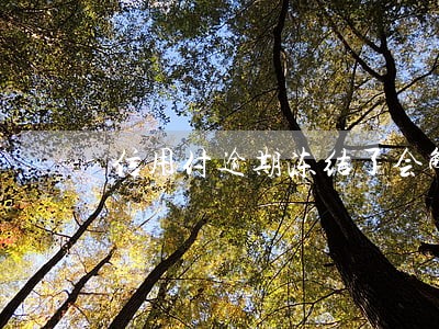 信用付逾期冻结了会解封么