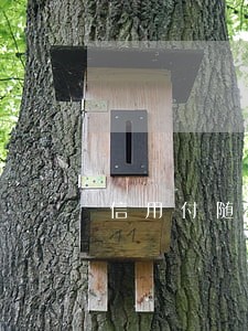 信用付随心花逾期