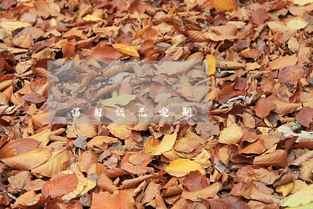 信用低无逾期 信用低无逾期