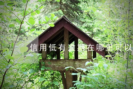 信用低有逾期在哪里可以贷款 信用低有逾期在哪里可以贷款