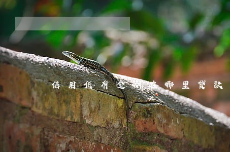 信用低有逾期在哪里贷款 信用低有逾期在哪里贷款
