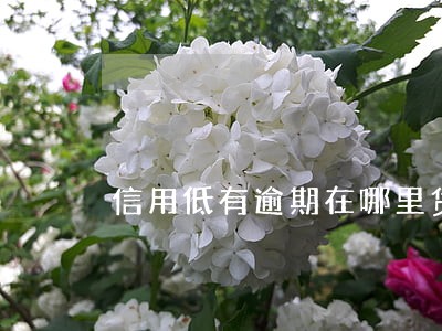 信用低有逾期在哪里贷款一万 信用低有逾期在哪里贷款一万