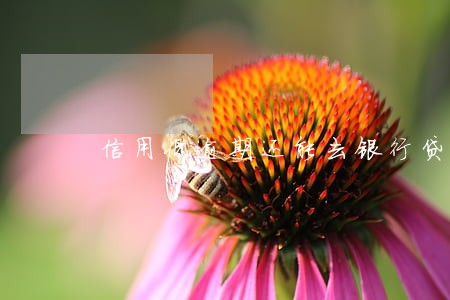 信用低逾期还能去银行贷款吗 信用低逾期还能去银行贷款吗