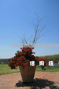信用住多久逾期 信用住多久逾期