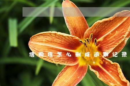 信用住怎么删除逾期记录 信用住怎么删除逾期记录