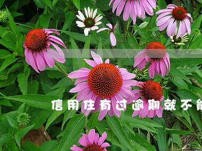 信用住有过逾期就不能住了 信用住有过逾期就不能住了