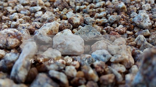 信用住逾期15 信用住逾期15