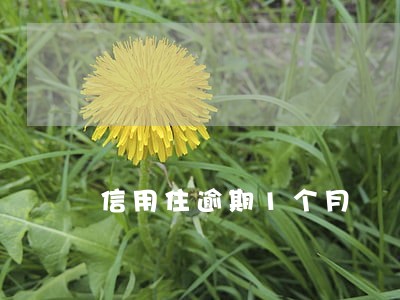 信用住逾期1个月 信用住逾期1个月