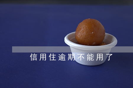 信用住逾期不能用了