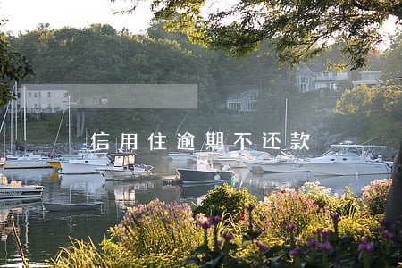 信用住逾期不还款 信用住逾期不还款