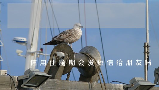 信用住逾期会发短信给朋友吗 信用住逾期会发短信给朋友吗