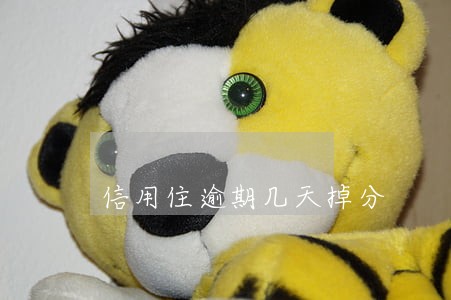信用住逾期几天掉分 信用住逾期几天掉分