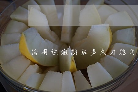 信用住逾期后多久才能再用 信用住逾期后多久才能再用
