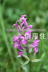 信用住逾期多久会打联系人 信用住逾期多久会打联系人
