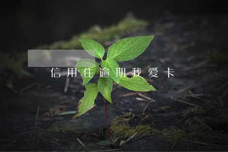 信用住逾期我爱卡 信用住逾期我爱卡