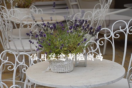 信用住逾期能删吗