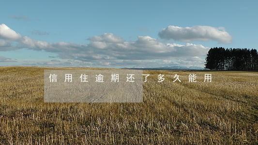信用住逾期还了多久能用 信用住逾期还了多久能用