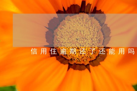 信用住逾期还了还能用吗 信用住逾期还了还能用吗