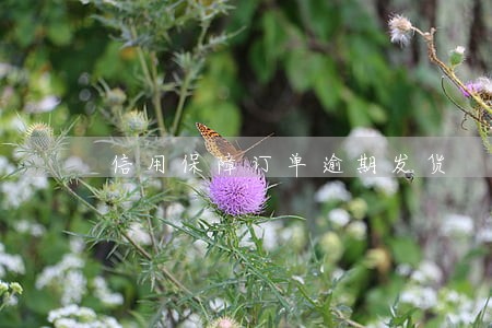信用保障订单逾期发货 信用保障订单逾期发货