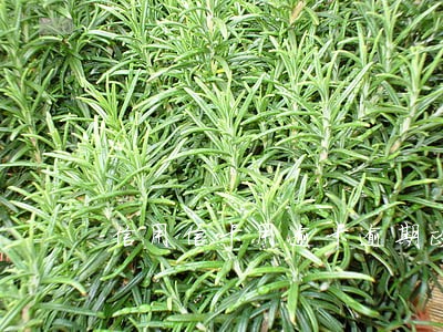 信用信卡用逾卡逾期政期审政