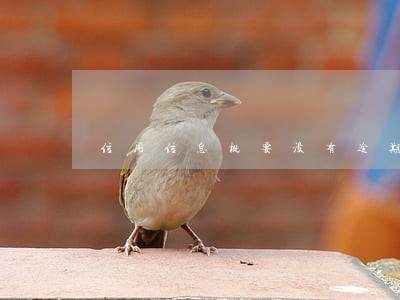 信用信息概要没有逾期 信用信息概要没有逾期