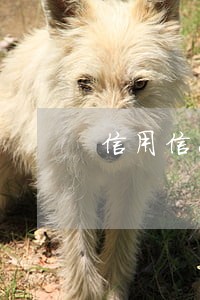 信用信息逾期后果 信用信息逾期后果