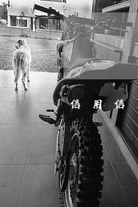 信用信用卡逾期怎么贷款