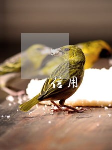 信用信用卡逾期怎样办理