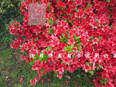 信用信用用卡逾期会坐牢吗