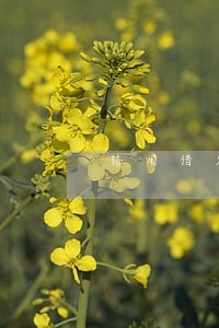 信用借发短信说我严重逾期 信用借发短信说我严重逾期