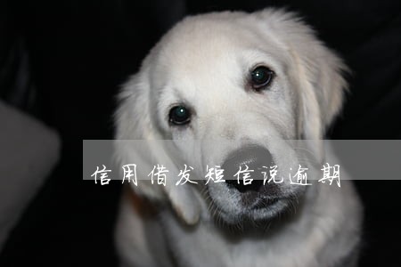 信用借发短信说逾期 信用借发短信说逾期