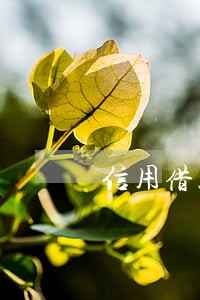 信用借款逾期不还会怎么样 信用借款逾期不还会怎么样