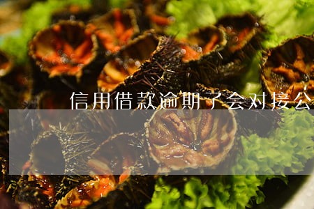 信用借款逾期了会对接公安吗 信用借款逾期了会对接公安吗