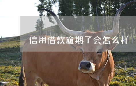 信用借款逾期了会怎么样 信用借款逾期了会怎么样