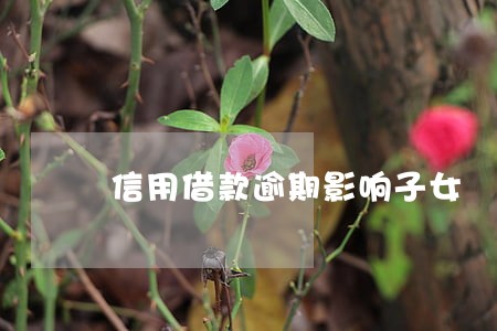信用借款逾期影响子女 信用借款逾期影响子女