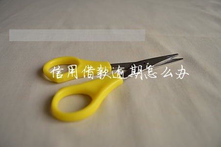 信用借款逾期怎么办 信用借款逾期怎么办