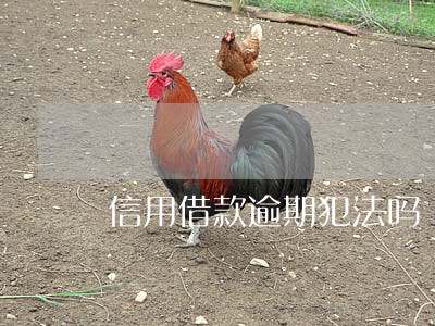 信用借款逾期犯法吗 信用借款逾期犯法吗