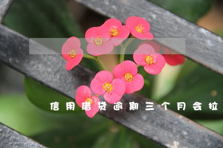 信用借贷逾期三个月会拉黑吗 信用借贷逾期三个月会拉黑吗