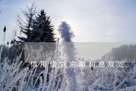 信用借贷逾期利息规定