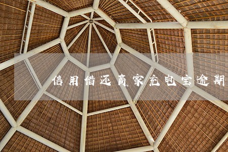 信用借还商家充电宝逾期了怎么办