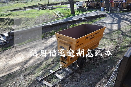 信用借还逾期怎么办
