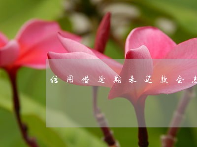 信用借逾期未还款会怎么样 信用借逾期未还款会怎么样