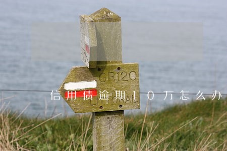 信用债逾期10万怎么办 信用债逾期10万怎么办
